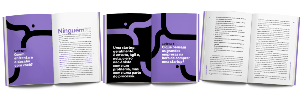 livro saida de mestre banner
